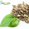 cay-an-xoa