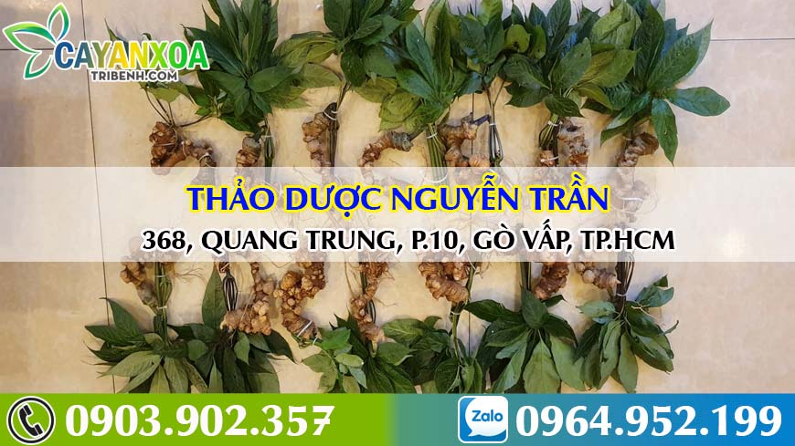 sam-ngoc-linh-nguyentran-1