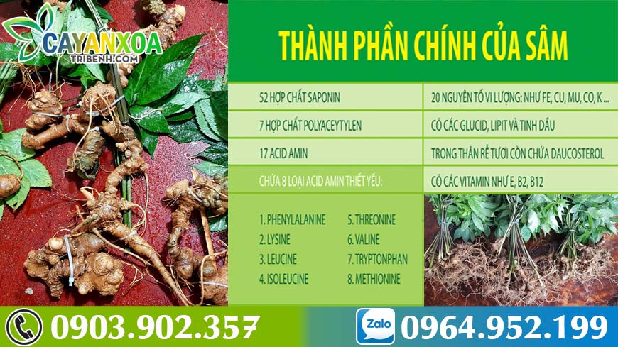 sam-ngoc-linh-nguyentran-3