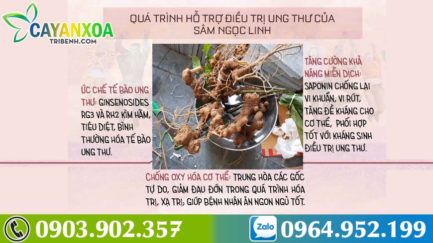 sam-ngoc-linh-nguyentran-5