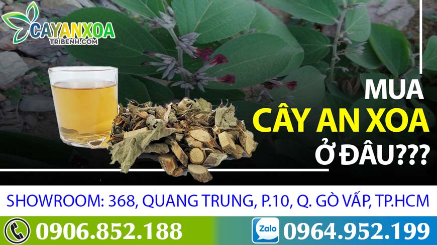 cay-an-xoa-mua-o-dau