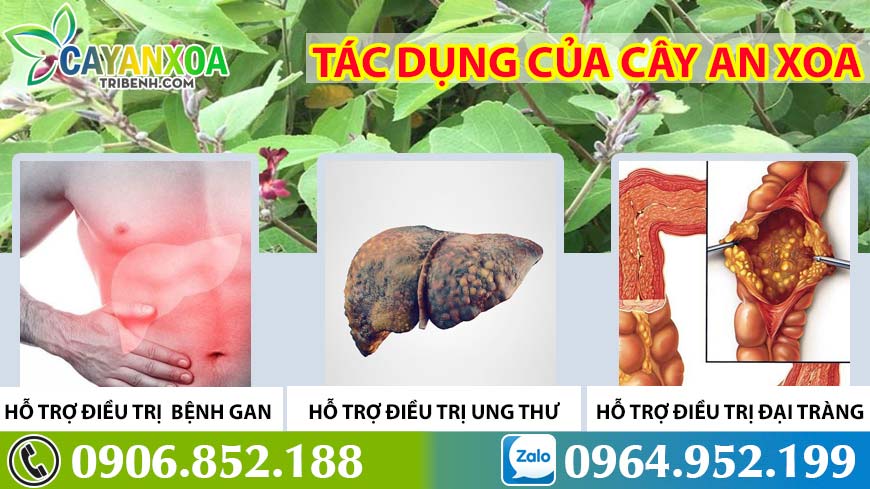 tac-dung-cay-an-xoa-1