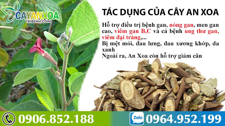 tac-dung-cay-an-xoa-2