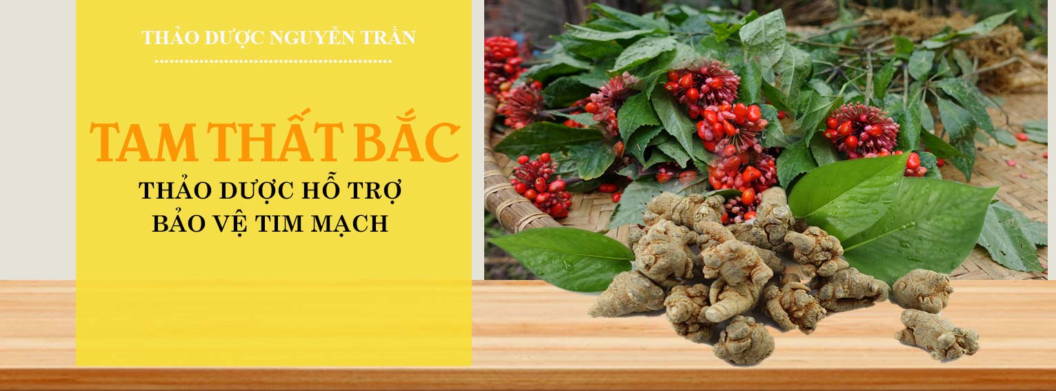 baner-tam-that-bac-1