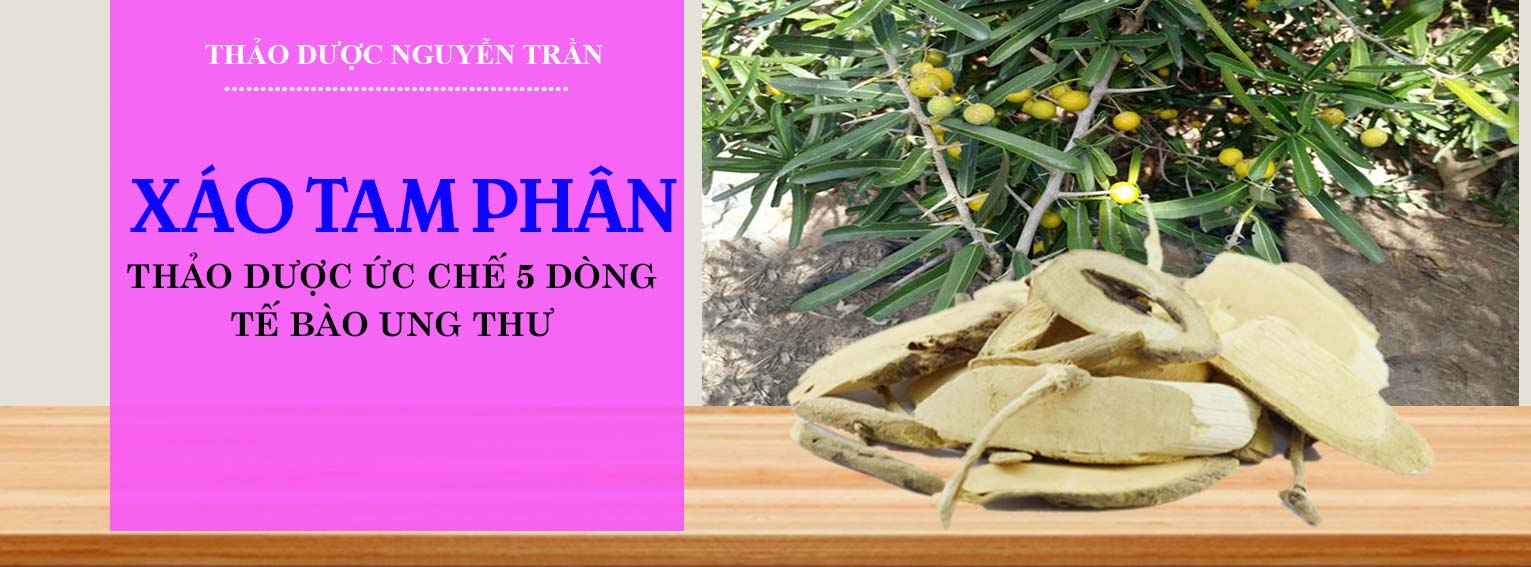 baner-xao-tam-phan-1