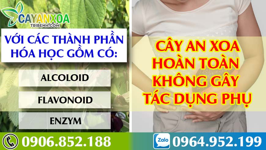 cay-an-xoa-co-tac-dung-phu-khong-1