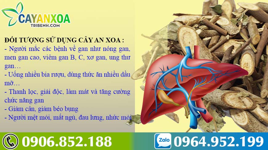 doi-tuong-su-dung-duoc-cay-an-xoa