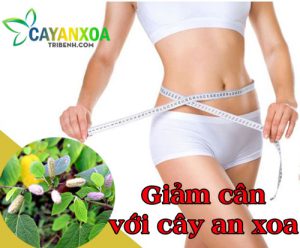 giam-can-voi-cay-an-xoa