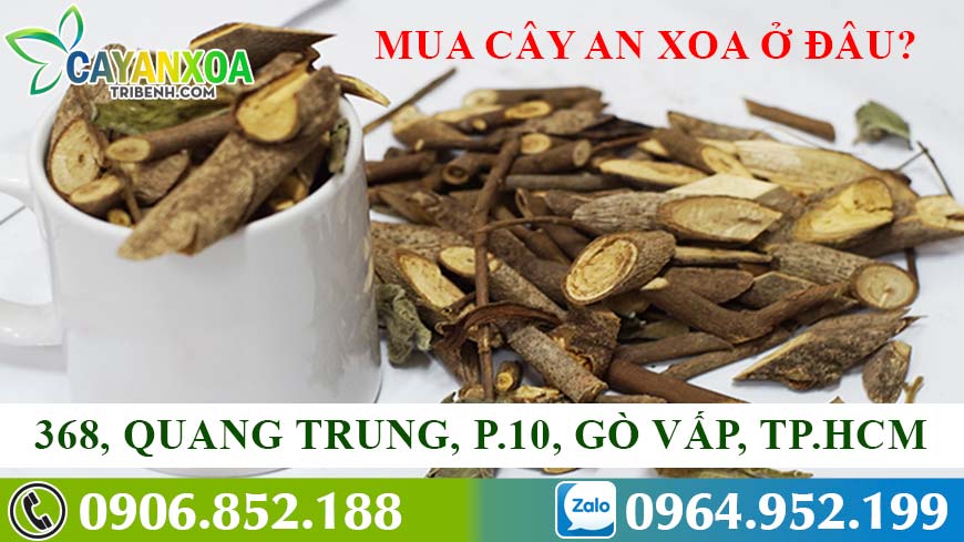 phan-biet-cay-an-xoa-that-gia-2