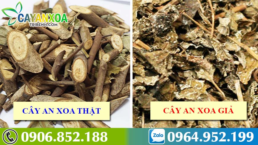 phan-biet-cay-an-xoa-that-gia