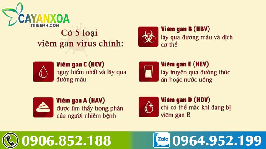 benh-viem-gan-2